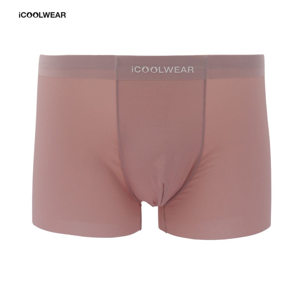 Combo 3 Quần lót nam cao cấp iCOOLWEAR, Quần boxer nam thun lạnh, thoáng khí, kháng khuẩn, khử mùi VN010