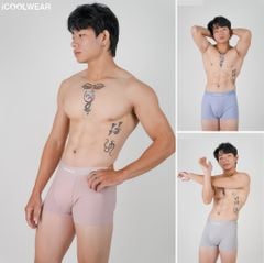 Combo 3 Quần lót nam cao cấp iCOOLWEAR, Quần boxer nam thun lạnh, thoáng khí, kháng khuẩn, khử mùi VN010