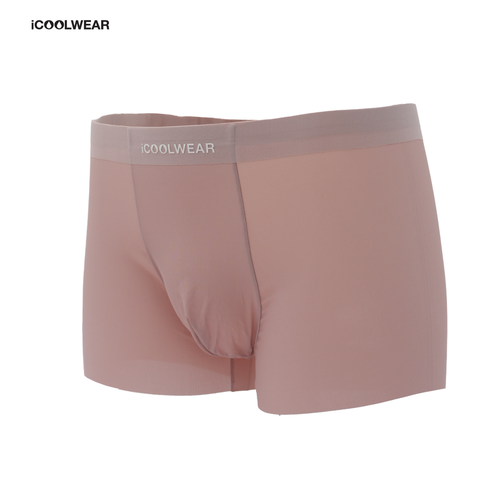 Combo 3 Quần lót nam cao cấp iCOOLWEAR, Quần boxer nam thun lạnh, thoáng khí, kháng khuẩn, khử mùi VN010