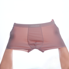 Combo 3 Quần lót nam cao cấp iCOOLWEAR, Quần boxer nam thun lạnh, thoáng khí, kháng khuẩn, khử mùi VN010