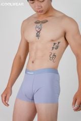 Combo 3 Quần lót nam cao cấp iCOOLWEAR, Quần boxer nam thun lạnh, thoáng khí, kháng khuẩn, khử mùi VN010