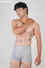 Combo 3 Quần lót nam cao cấp iCOOLWEAR, Quần boxer nam thun lạnh, thoáng khí, kháng khuẩn, khử mùi VN010