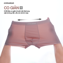 Combo 3 Quần lót nam cao cấp iCOOLWEAR, Quần boxer nam thun lạnh, thoáng khí, kháng khuẩn, khử mùi VN010