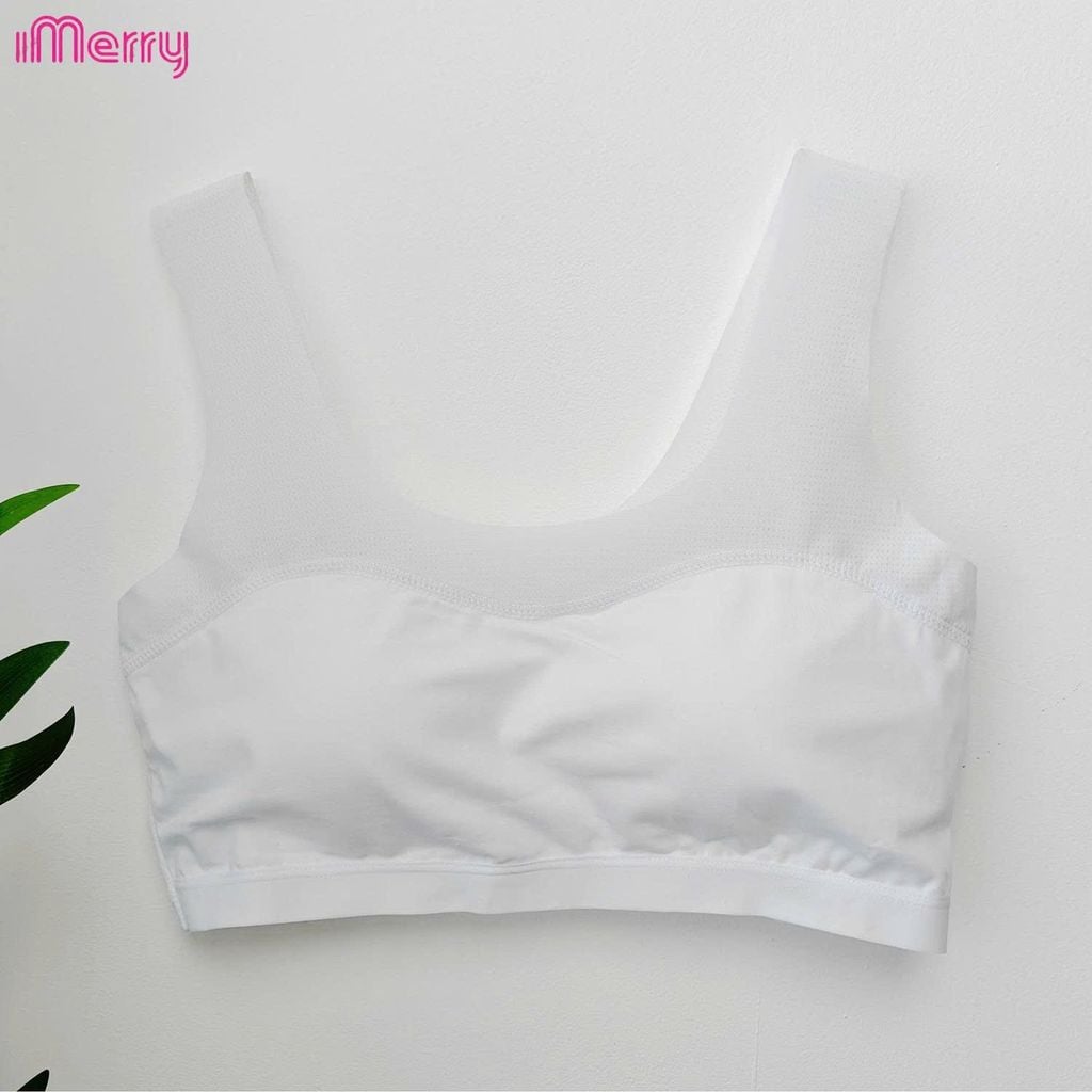 Áo lá học sinh iMerry cho bé gái từ 11 tới 17 tuổi chất cotton mềm thoáng mát mút liền BRA6619