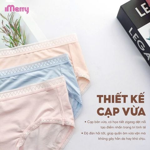 Combo 3 Quần lót nữ cotton gỗ sồi iMerry, thấm hút, mềm mại, mỏng nhẹ, cạp vừa VQ093A