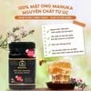  Mật Ong Manuka Eco MGO 550+ – Hỗ Trợ Kháng Viêm, Đề Kháng Cao | Nhập Khẩu Úc 