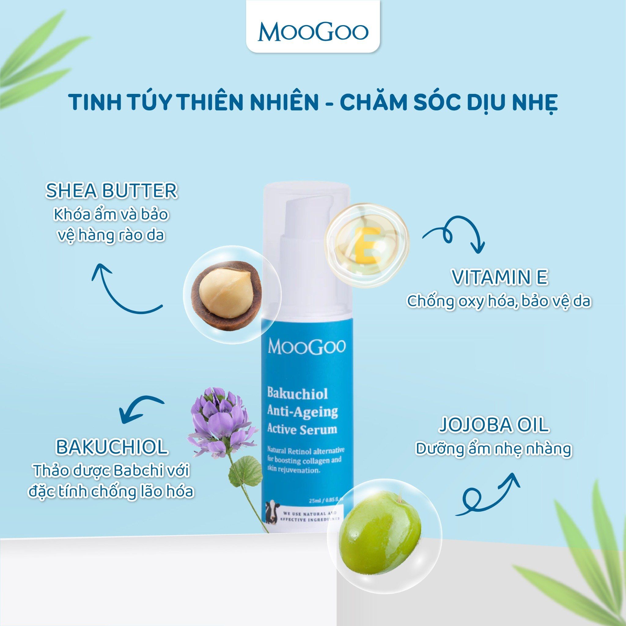  SERUM BAKUCHIOL TĂNG CƯỜNG COLLAGEN & TRẺ HÓA LÀN DA 