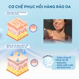  Kem Phục Hồi Hàng Rào Bảo Vệ Da Moogoo 