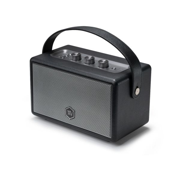  Loa AlphaWorks W89 - Đen 