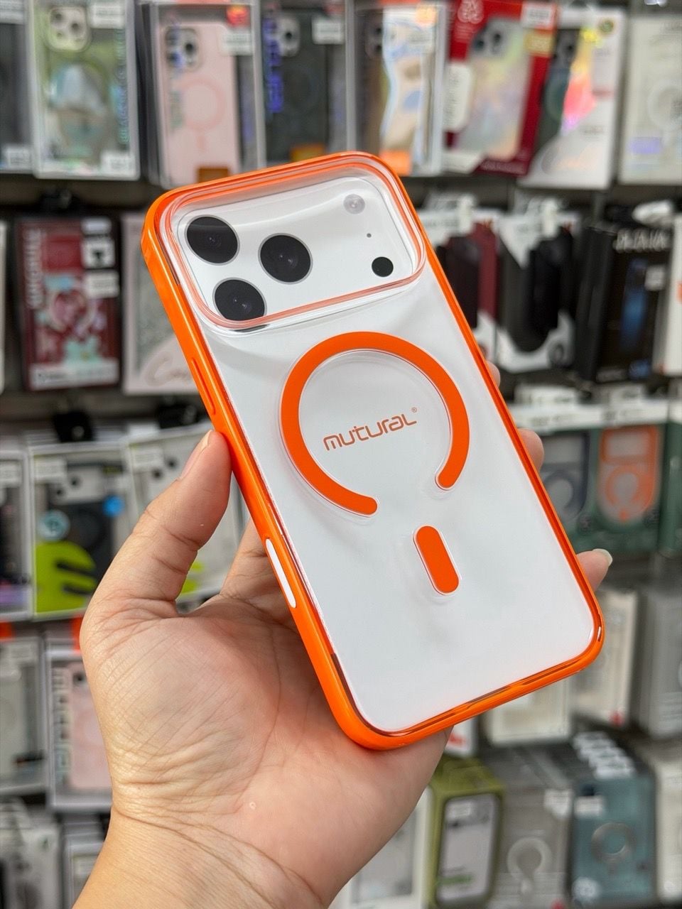  Ốp 17 Promax Mutural Morandi - Cam 