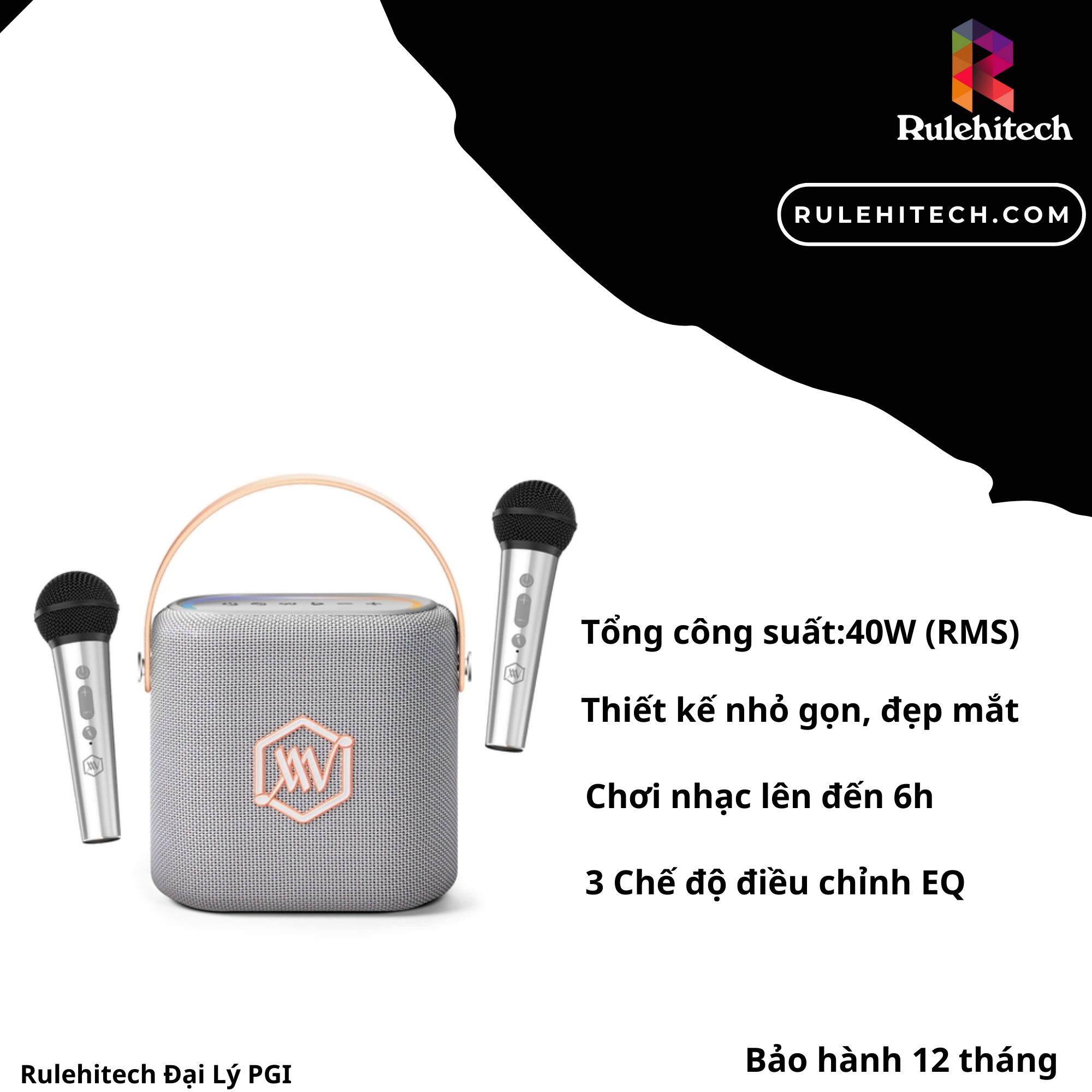  Loa AlphaWorks AW Sonik 60 - Xám 