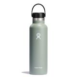  Bình Giữ Nhiệt Hydro Flask Standard Flex Cap 21 OZ 621ml-Agave 