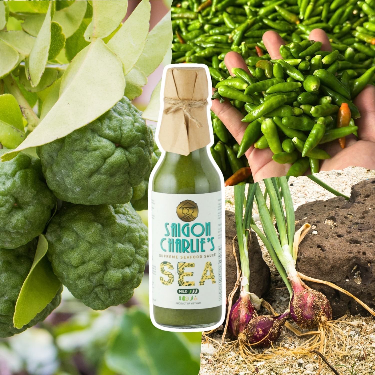  Saigon Charlie's Pack 3 