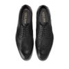 HARMON GRAND WINGTIP OXFORDS