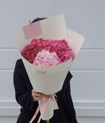 Bó một mặt tú cầu hồng đậm - nhạt Hà Lan