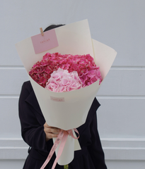 Bó một mặt tú cầu hồng đậm - nhạt Hà Lan