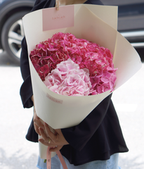 Bó một mặt tú cầu hồng đậm - nhạt Hà Lan