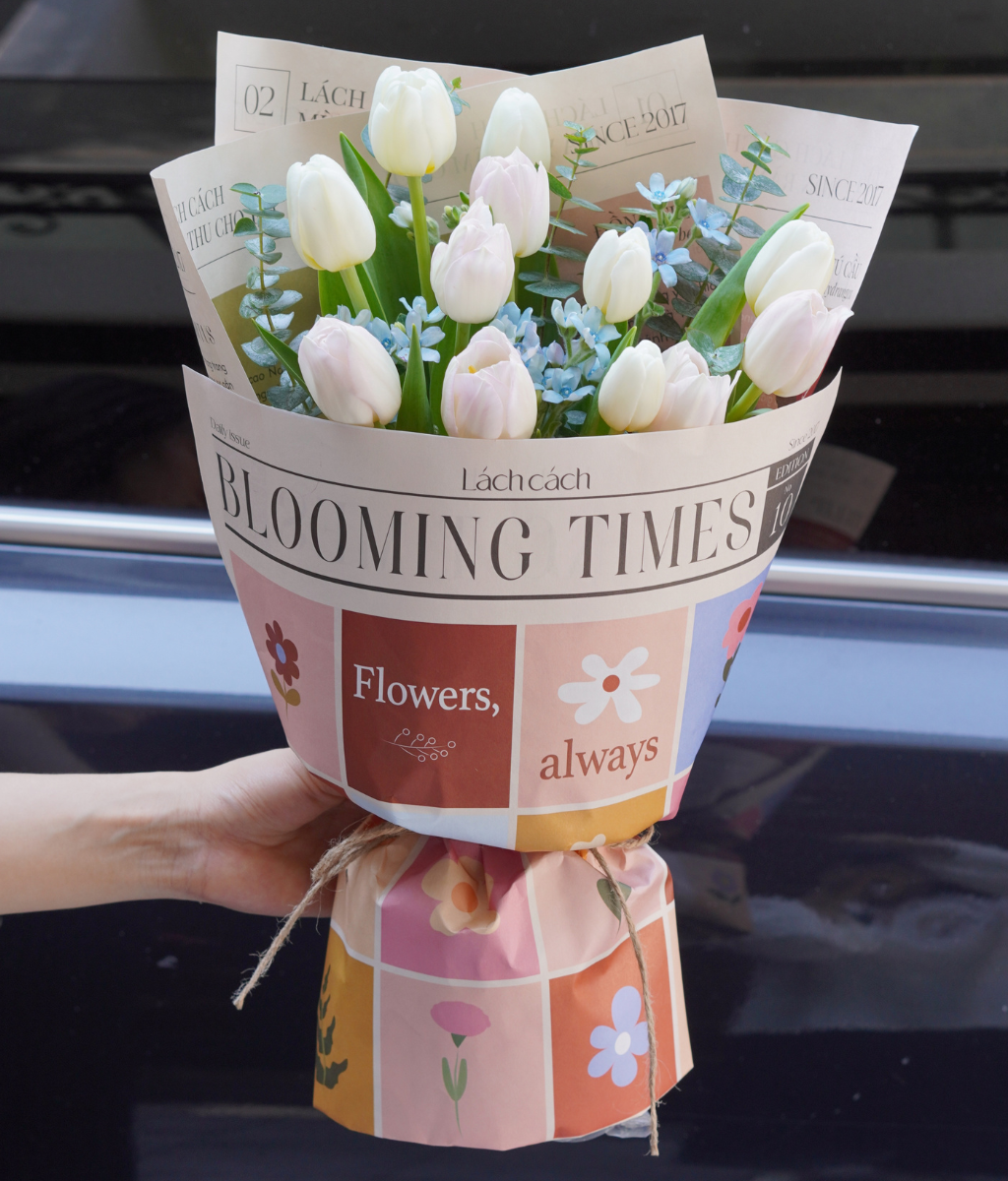 Bó Blooming times tulip