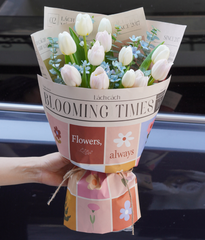 Bó Blooming times tulip