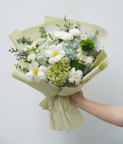Bó một mặt tú cầu xanh bơ
