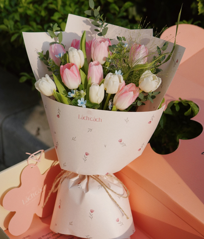 Hoa gửi người đẹp - Tulip