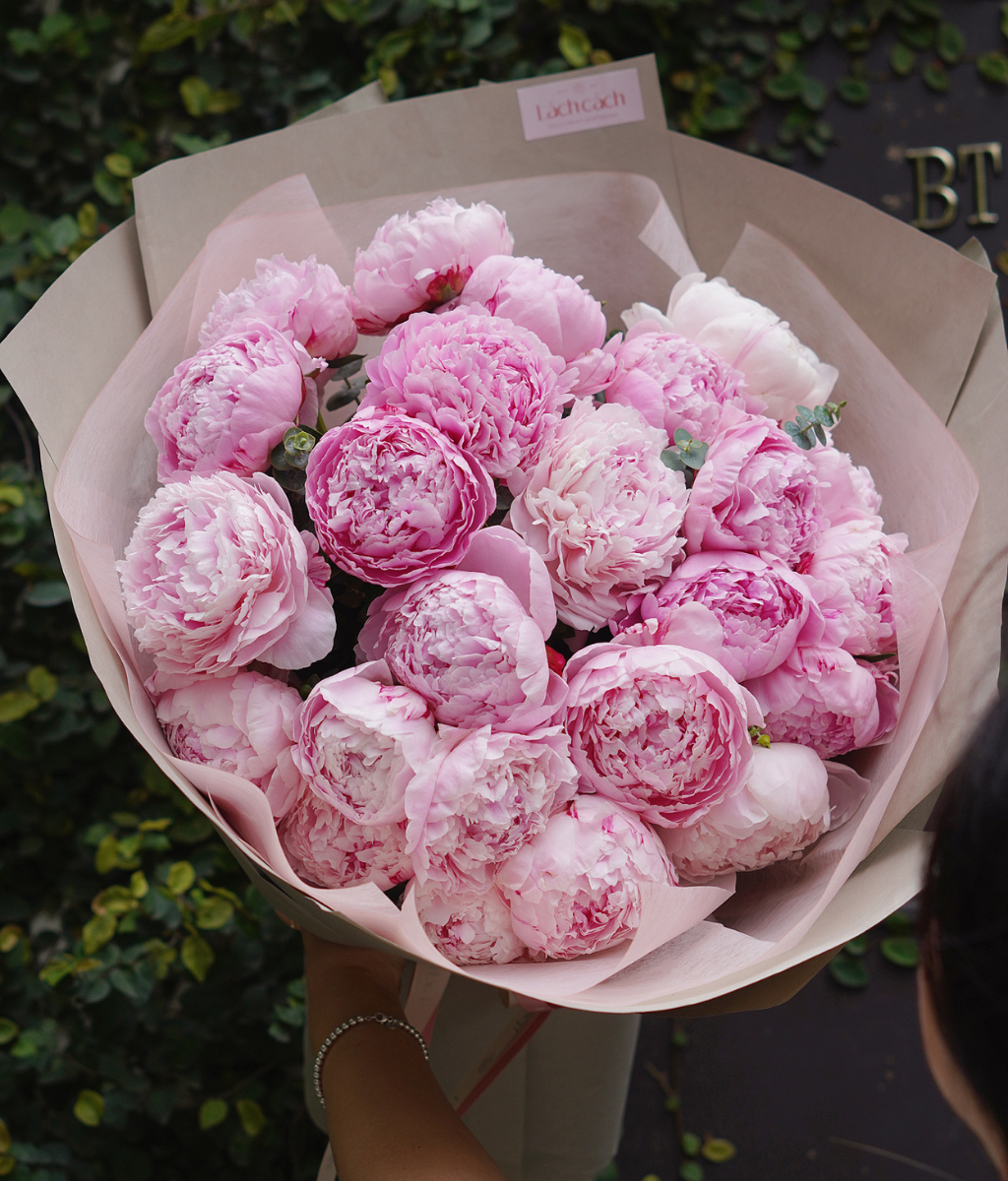 A Sweet Surprise 20 bông peony sarah