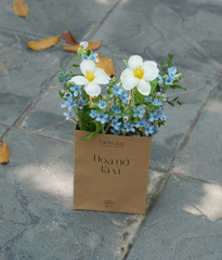 Túi hoa nở là vì... (sao xanh mix tulip)