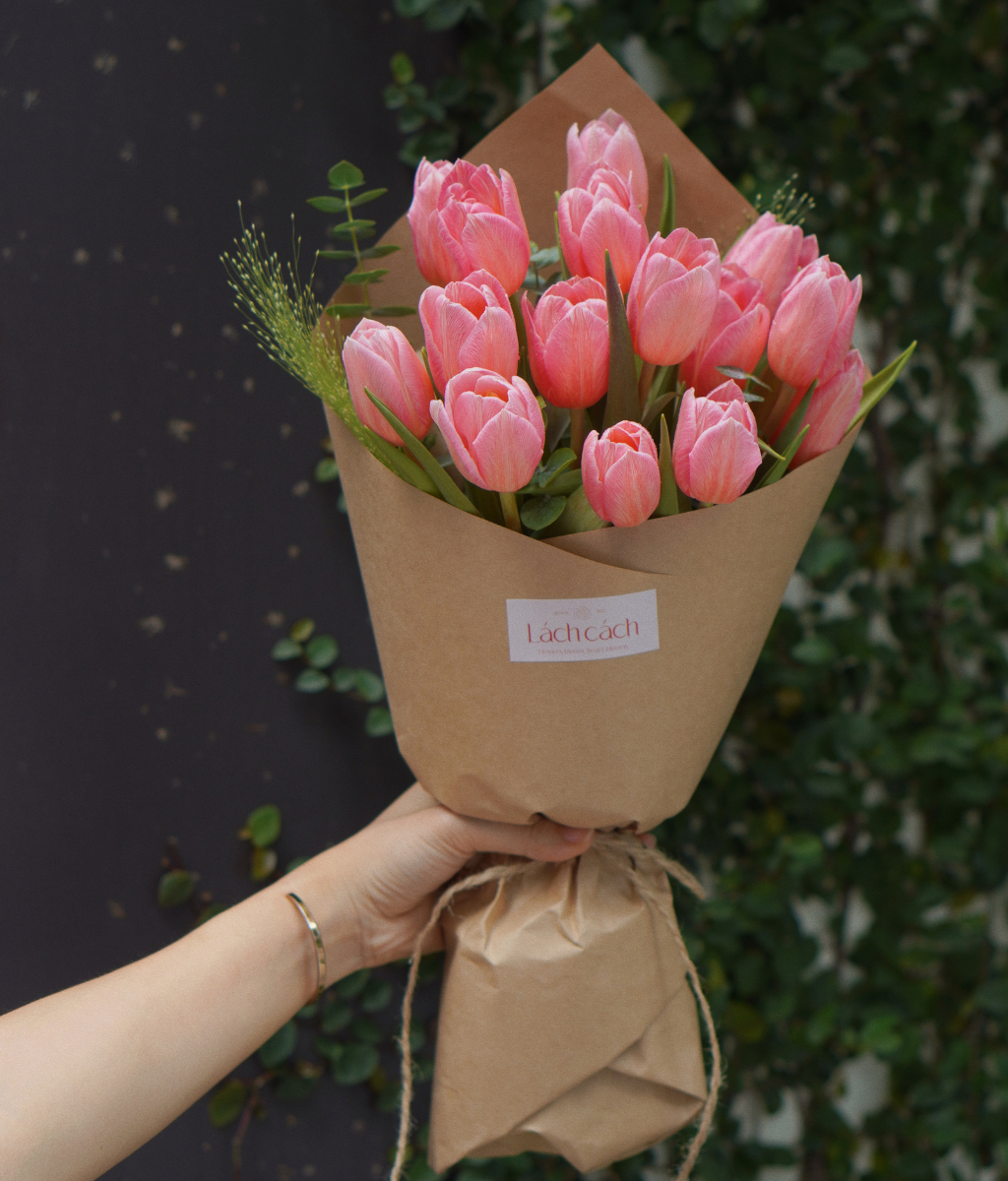 Box thảnh thơi tulip nhuộm rosy
