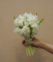Hoa cưới dạ lan hương