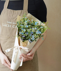 Bó bồng bềnh hoa sao