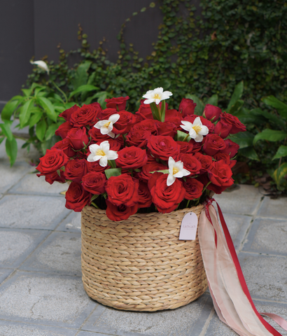 Valentine 2026 - Mẫu 19 - Giỏ lục bình hồng đỏ mix tulip