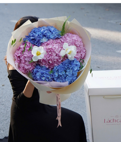 20/10/2026 - Mẫu 20 - Box A Sweet Surprise 6b tú cầu mix tulip
