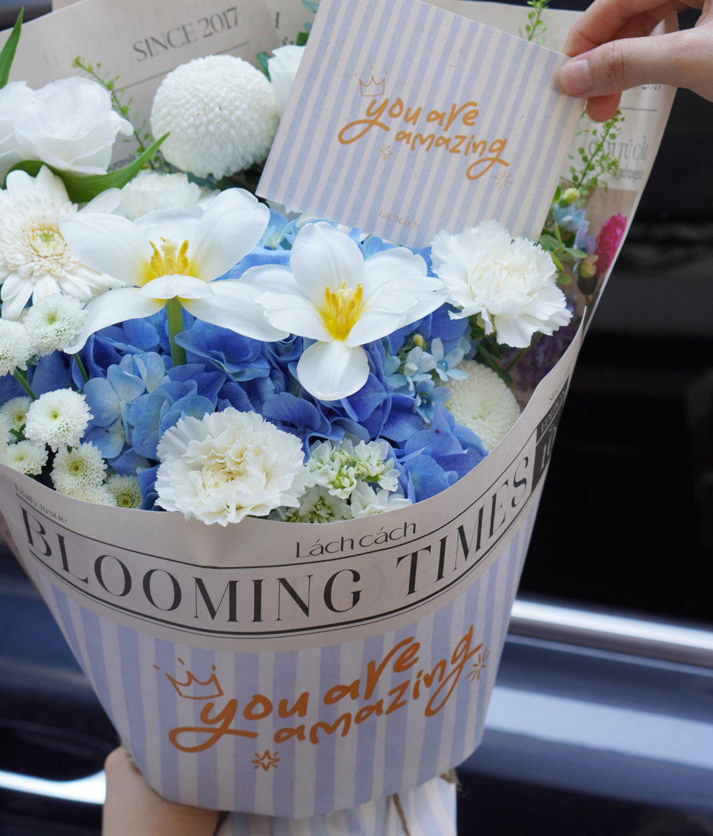 Blooming times tú cầu blue mix tulip