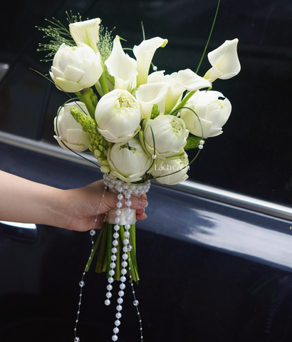 Hoa cưới sen trắng