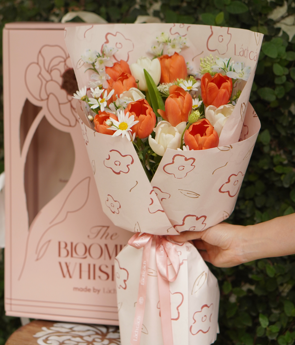 Box The Blooming Whisper tulip cam vàng