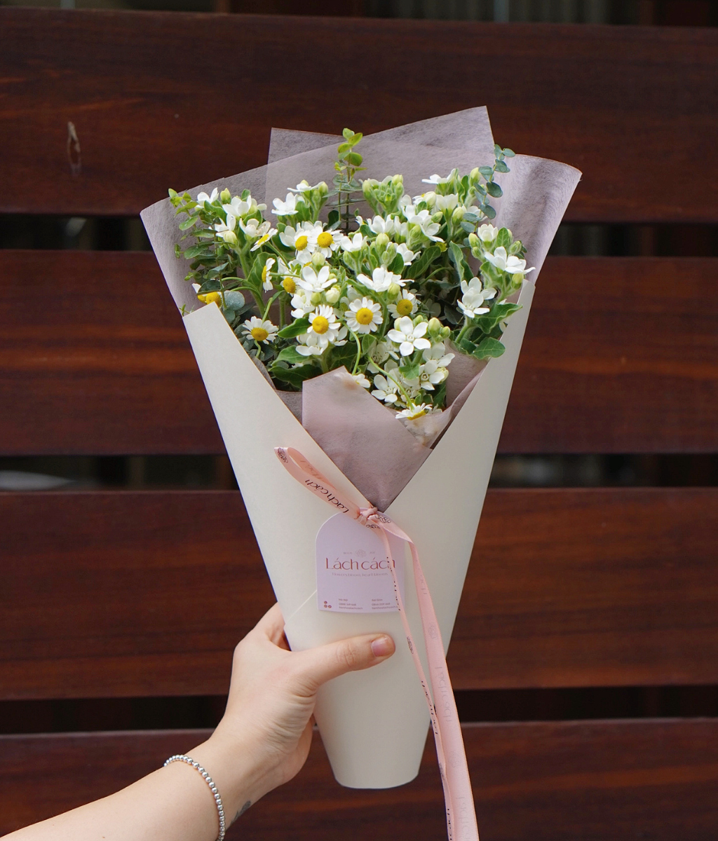 Bó bồng bềnh hoa sao