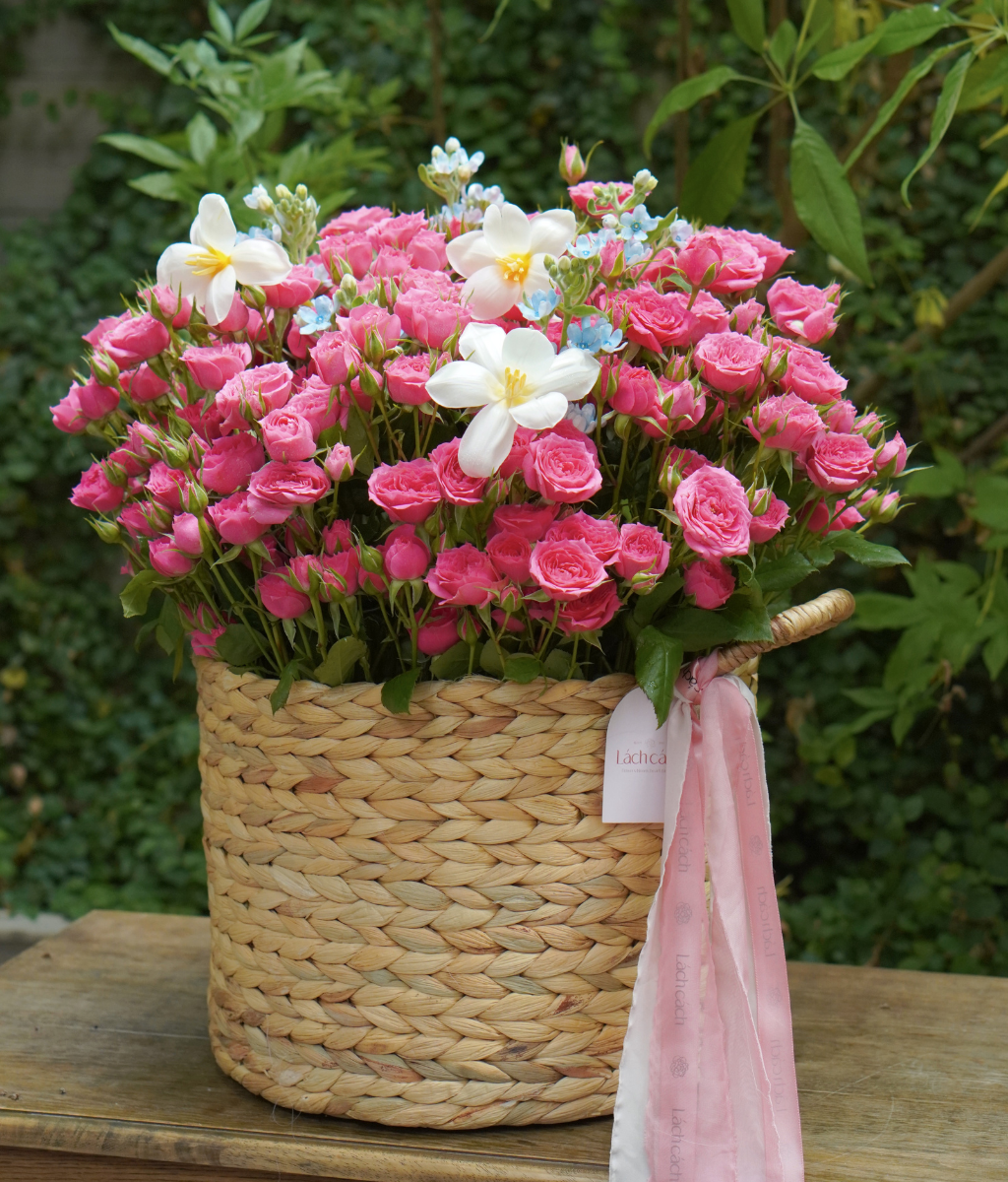 Giỏ lục bình hồng chùm hồng đậm mix tulip