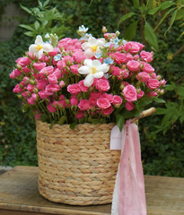 Giỏ lục bình hồng chùm hồng đậm mix tulip