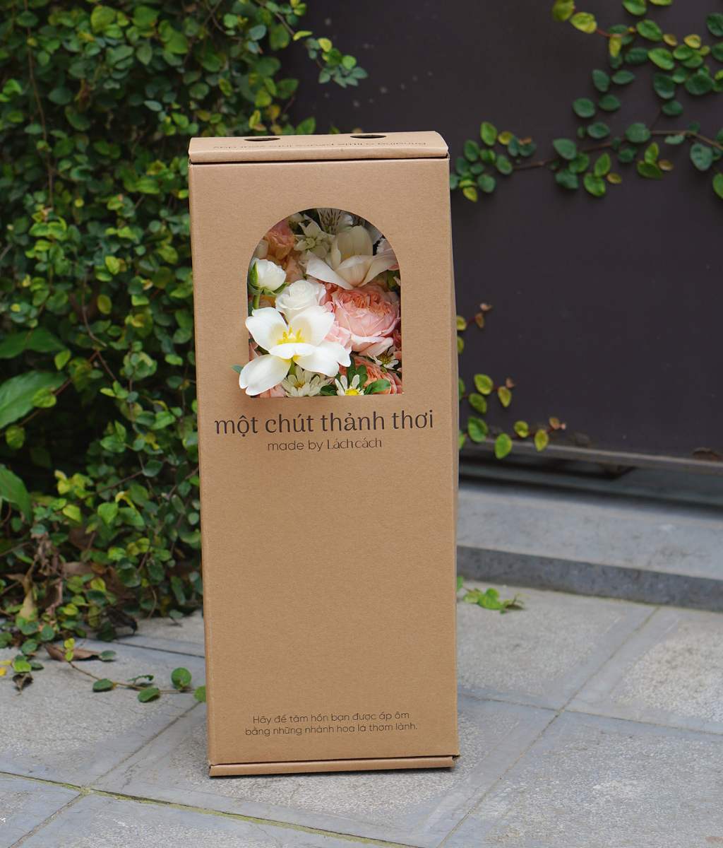 Box thảnh thơi julieta mix tulip