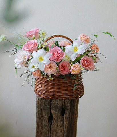 Giỏ Hàn Quốc hermosa