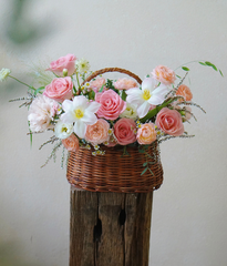 Giỏ Hàn Quốc hermosa