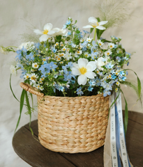 Giỏ lục bình Ocean