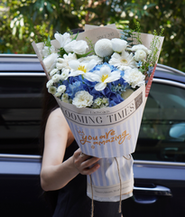 Blooming times tú cầu blue mix tulip