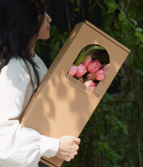 Box thảnh thơi tulip nhuộm rosy