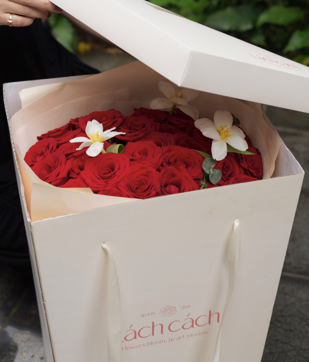 A Sweet Surprise hồng đỏ mix tulip