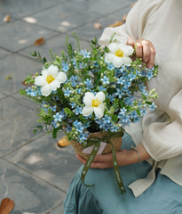 Giỏ cói sao xanh mix tulip trắng