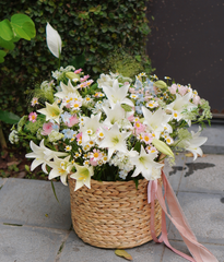 Giỏ lục bình loa kèn mix tulip