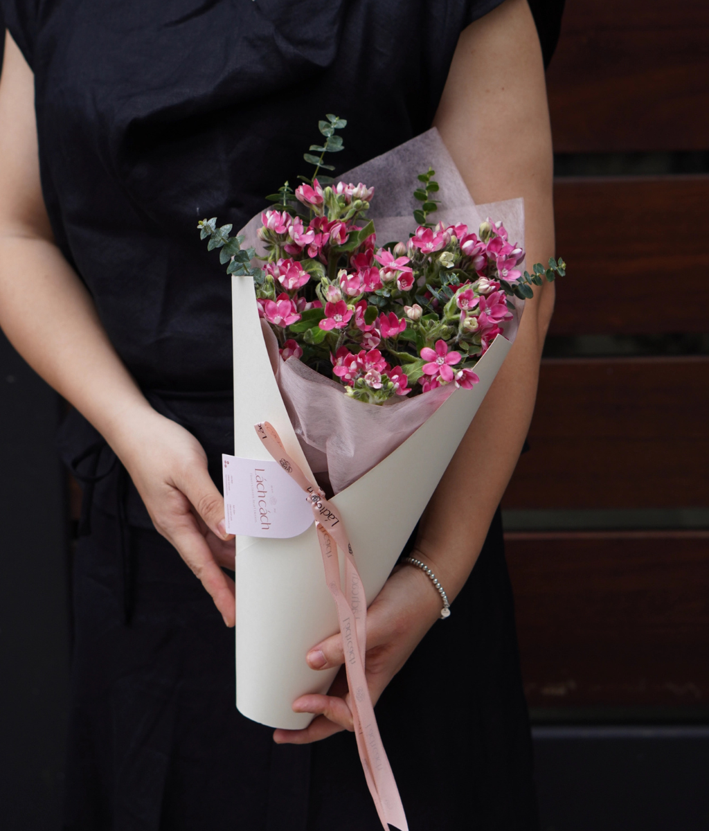 Bó bồng bềnh hoa sao