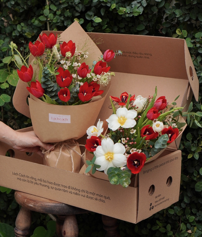 Box thảnh thơi tulip đỏ