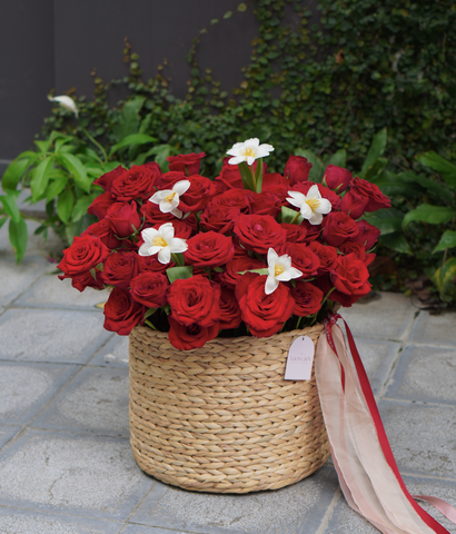 Giỏ lục bình hồng đỏ mix tulip